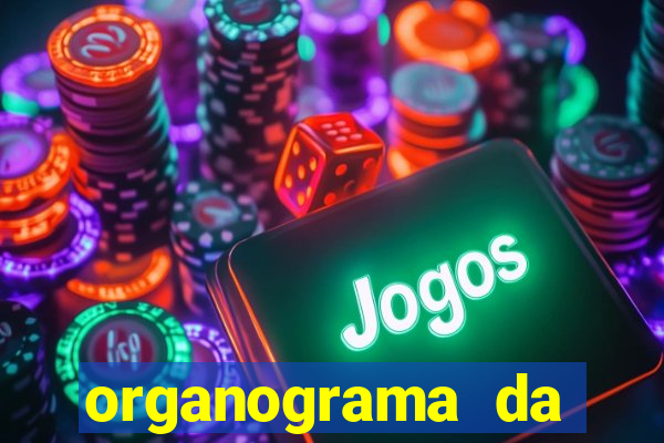 organograma da cacau show